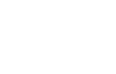 BGSIR Logo-02