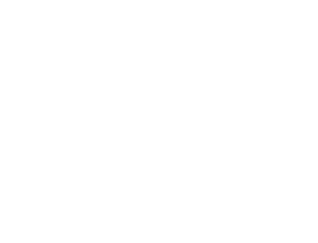 FF Triangle - White