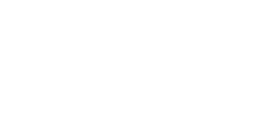 Payroll Solutions Logo