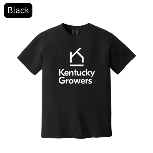 1717 - Black