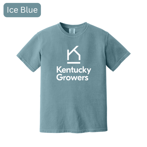 1717 - Ice Blue