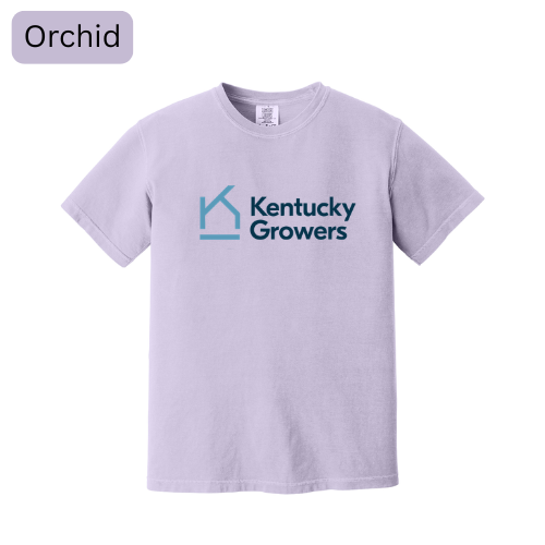 1717 - Orchid
